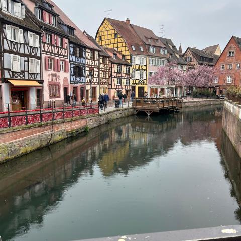 Elsass 25