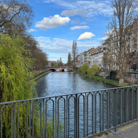 Elsass 25